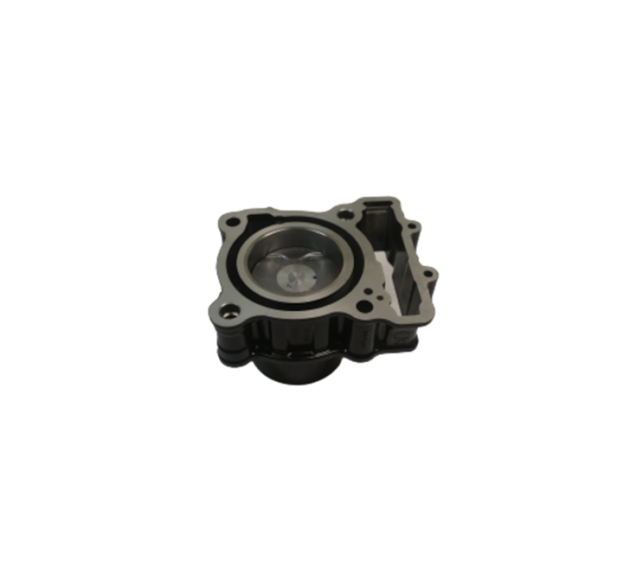 Dominar D 250 Silindir-Piston-Segman Takımı